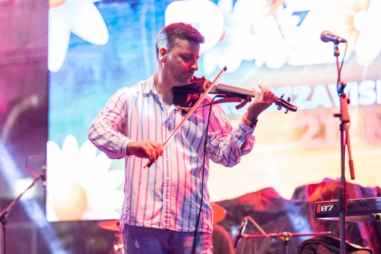 Violina na bini